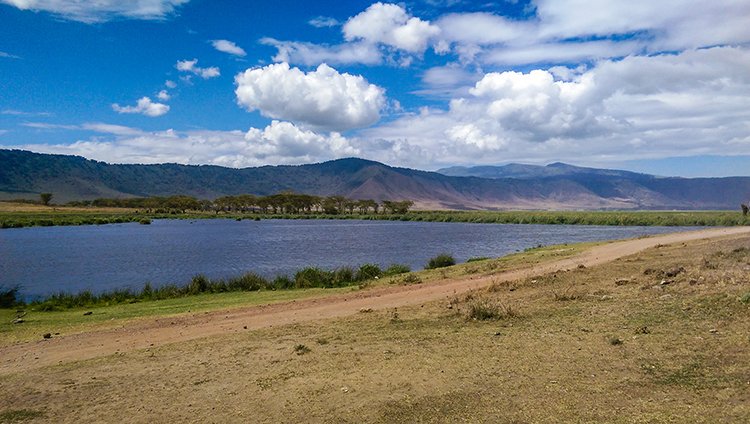 TZA ARU Ngorongoro 2016DEC26 Crater 095
